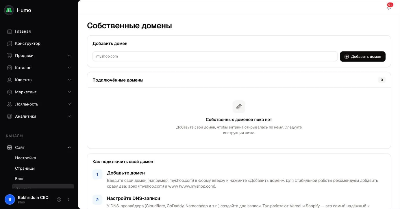 Страница «Собственные домены»: форма добавления, таблица доменов со статусом и DNS-записью, инструкция по подключению